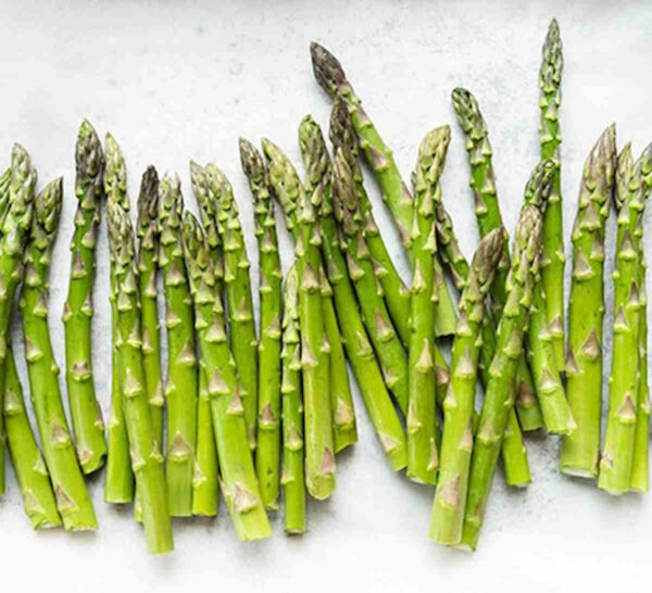 Asparagus Seed - Image 3