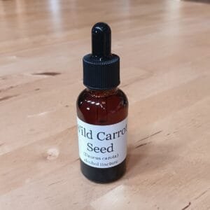 Wild Carrot Tincture