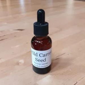 Wild Carrot Tincture