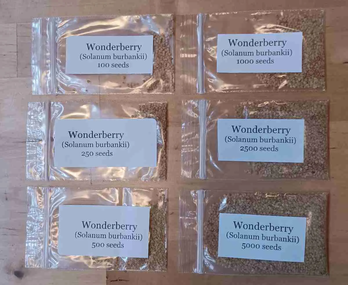 Wonderberry - Image 4