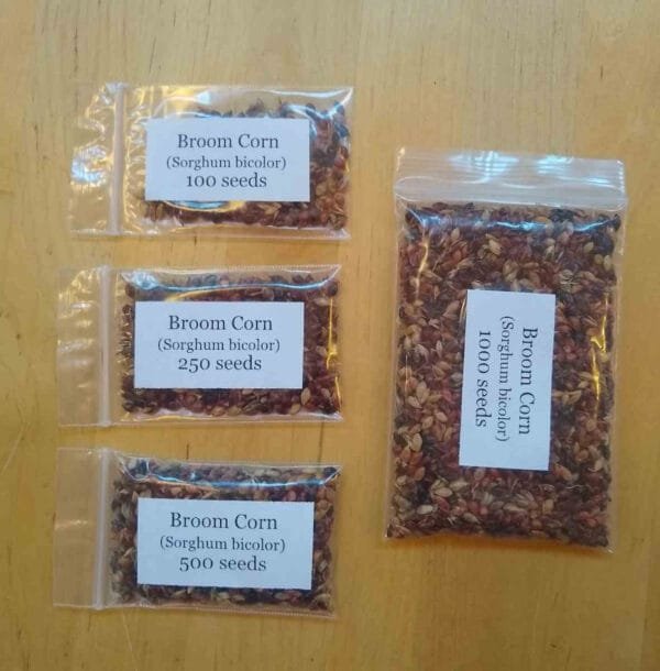 Broom Corn - Image 5