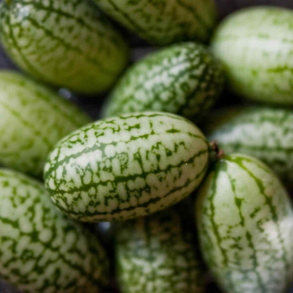 Cucamelon