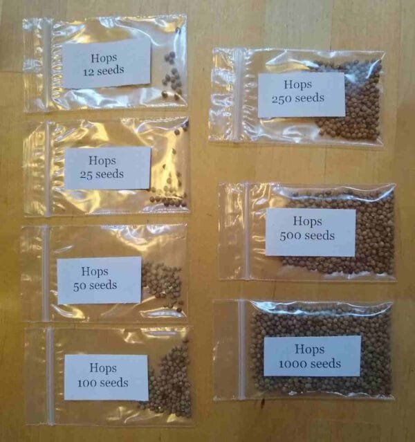 Wild Hops - Image 4