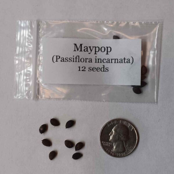 Maypop - Image 6