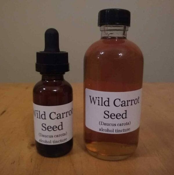 Wild Carrot Seed Tincture
