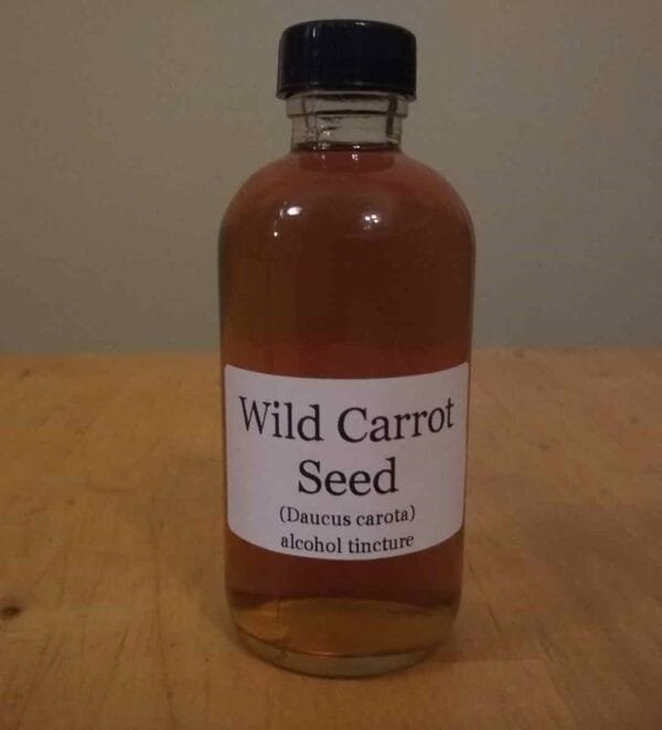 Wild Carrot Tincture - Image 3