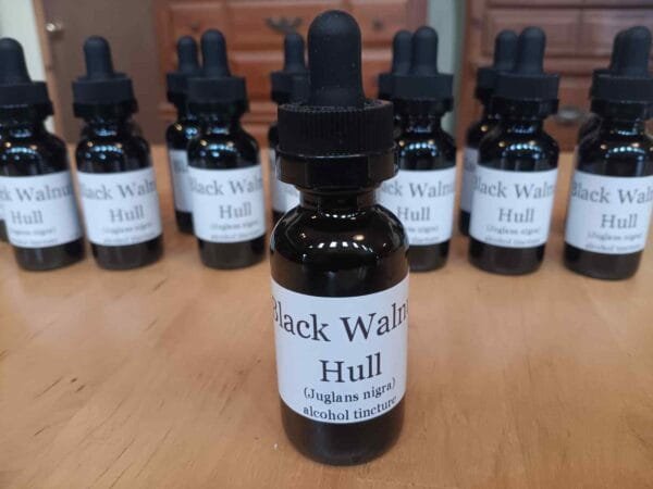 Black Walnut Hull Tincture