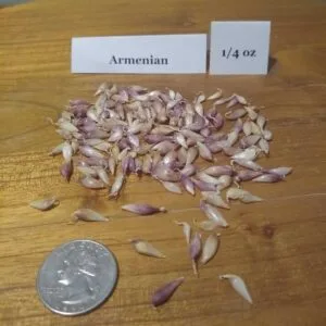 Armenian