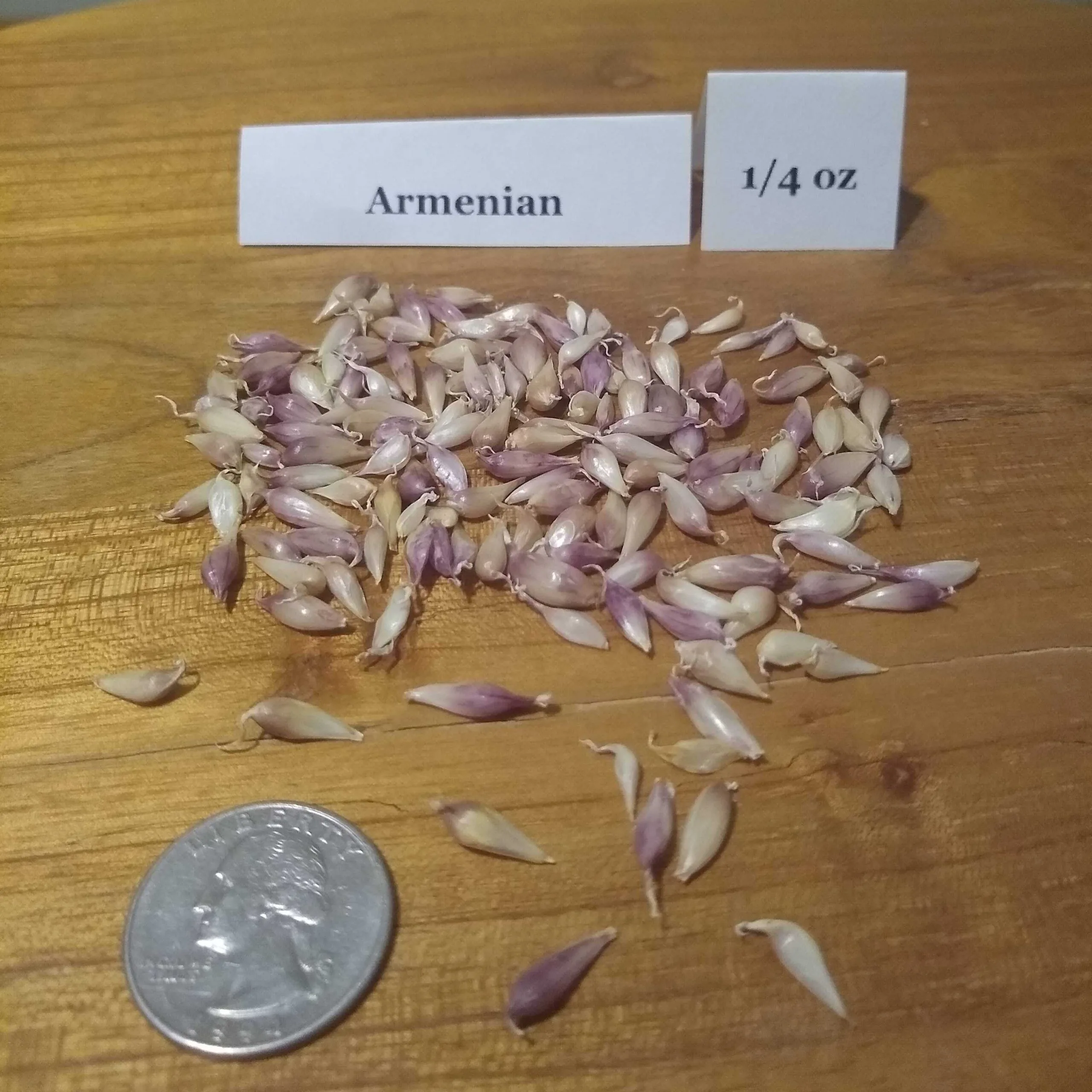 Armenian