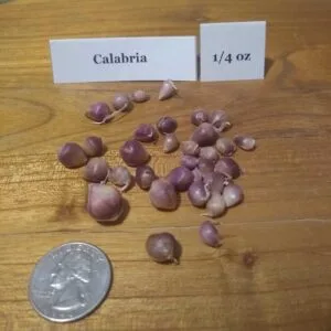 Calabria