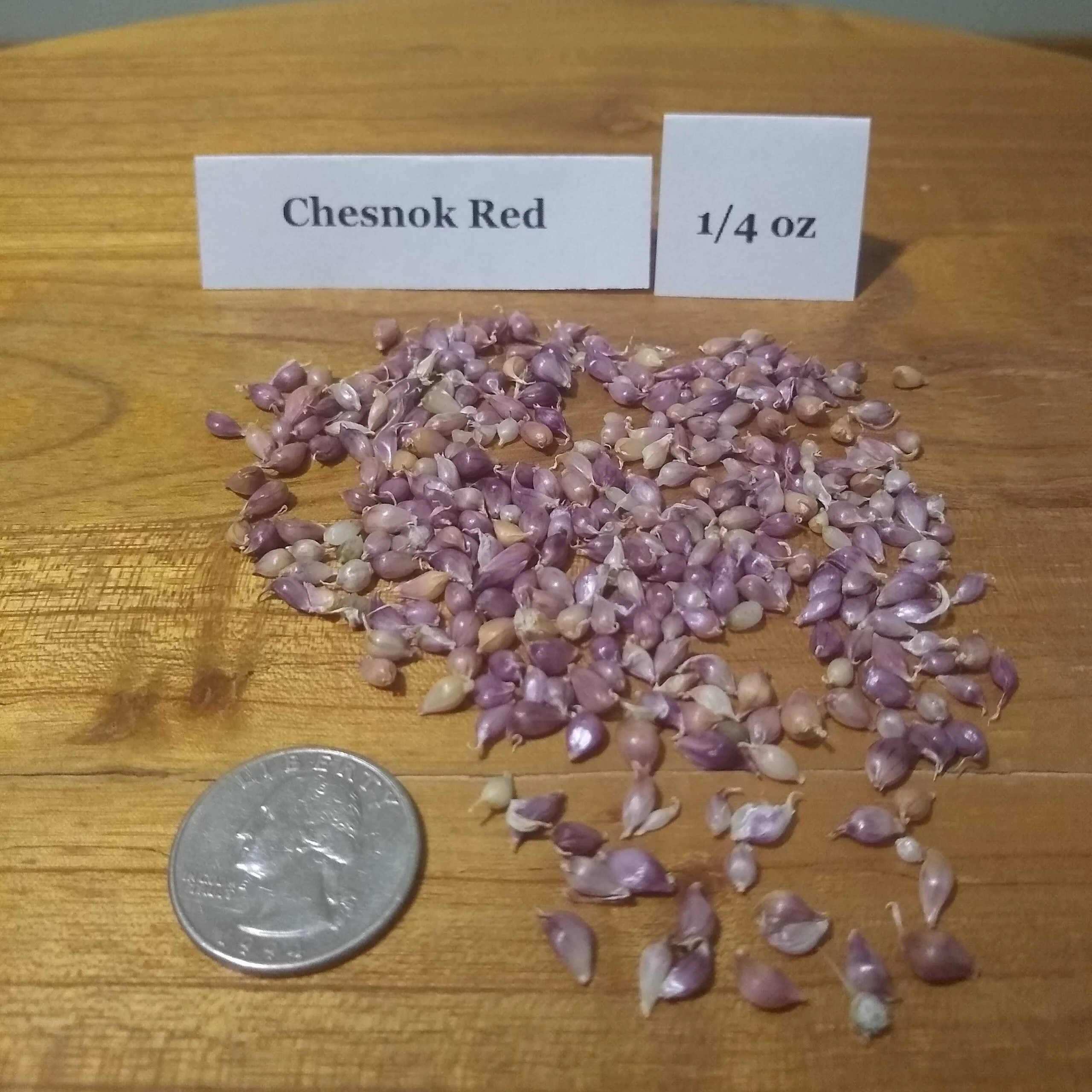Chesnok Red