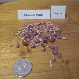 Chinese Pink
