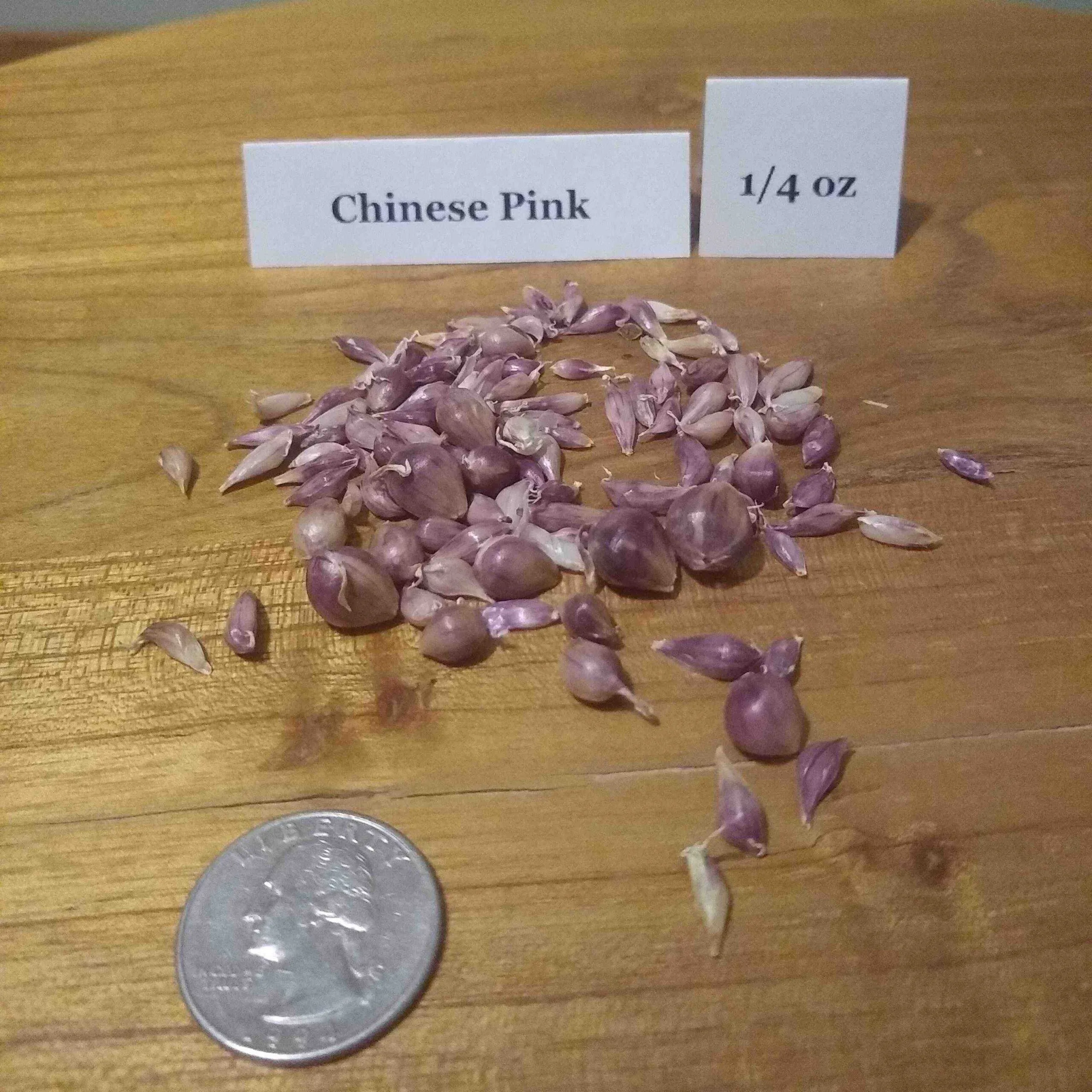 Chinese Pink