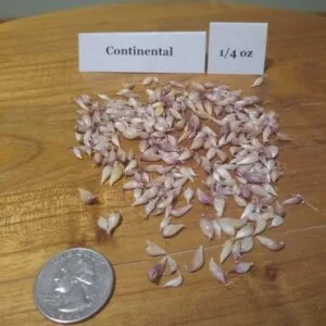 Continental