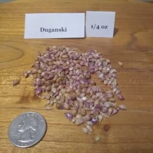 Duganski