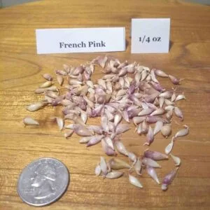 French Pink