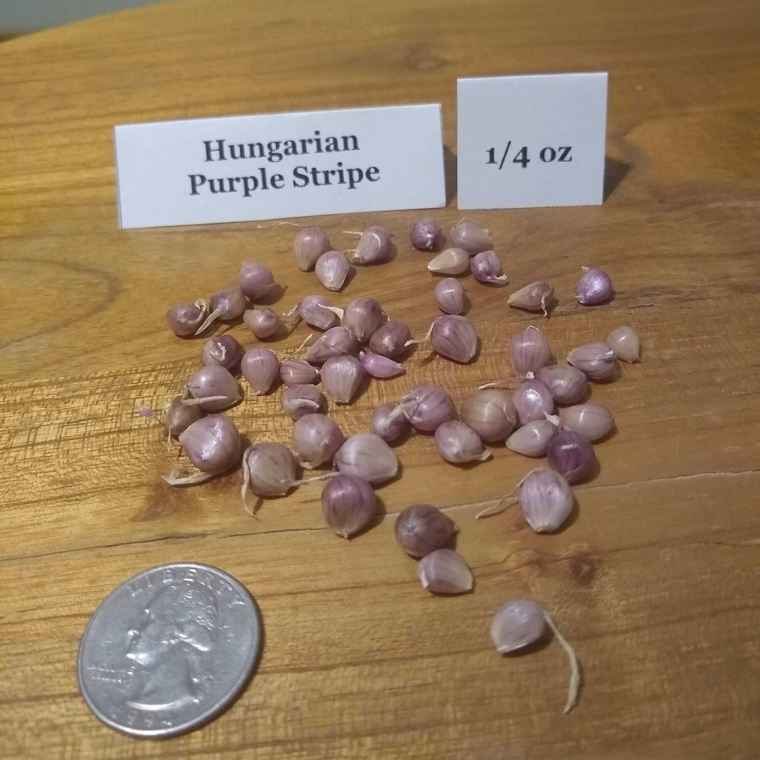 Hungarian Purple