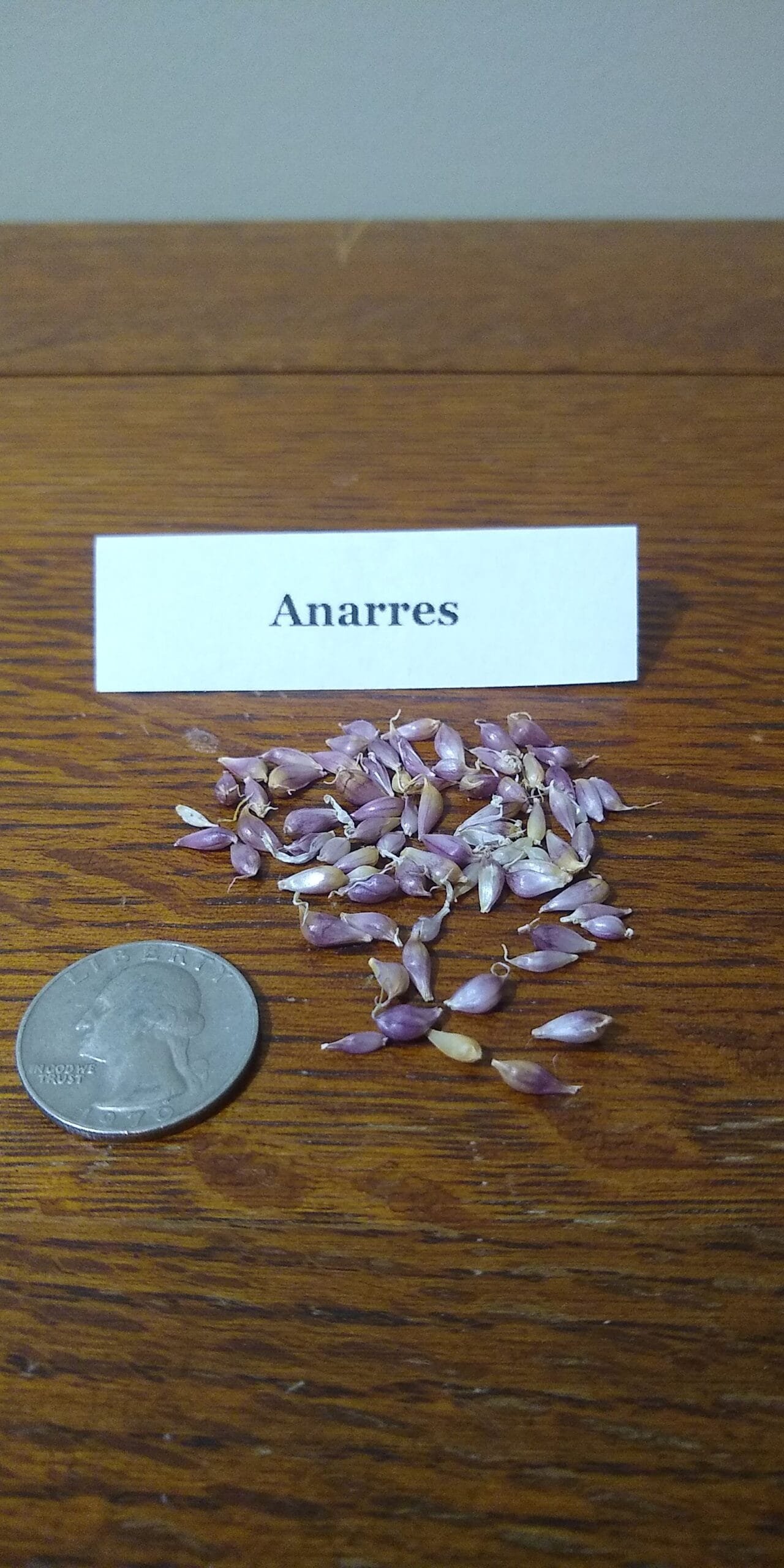 Sample Pack - Image 4