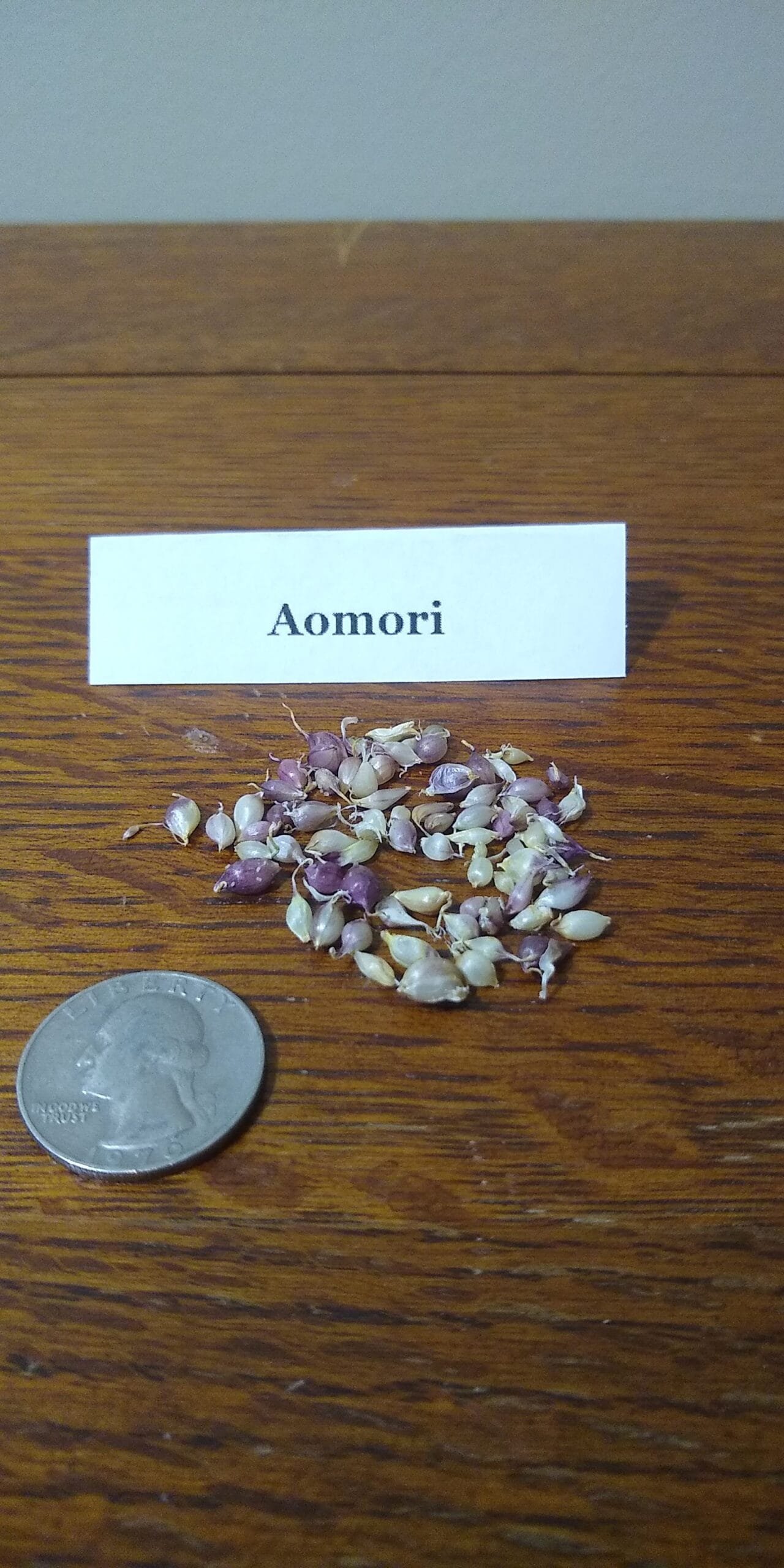 Sample Pack - Image 5