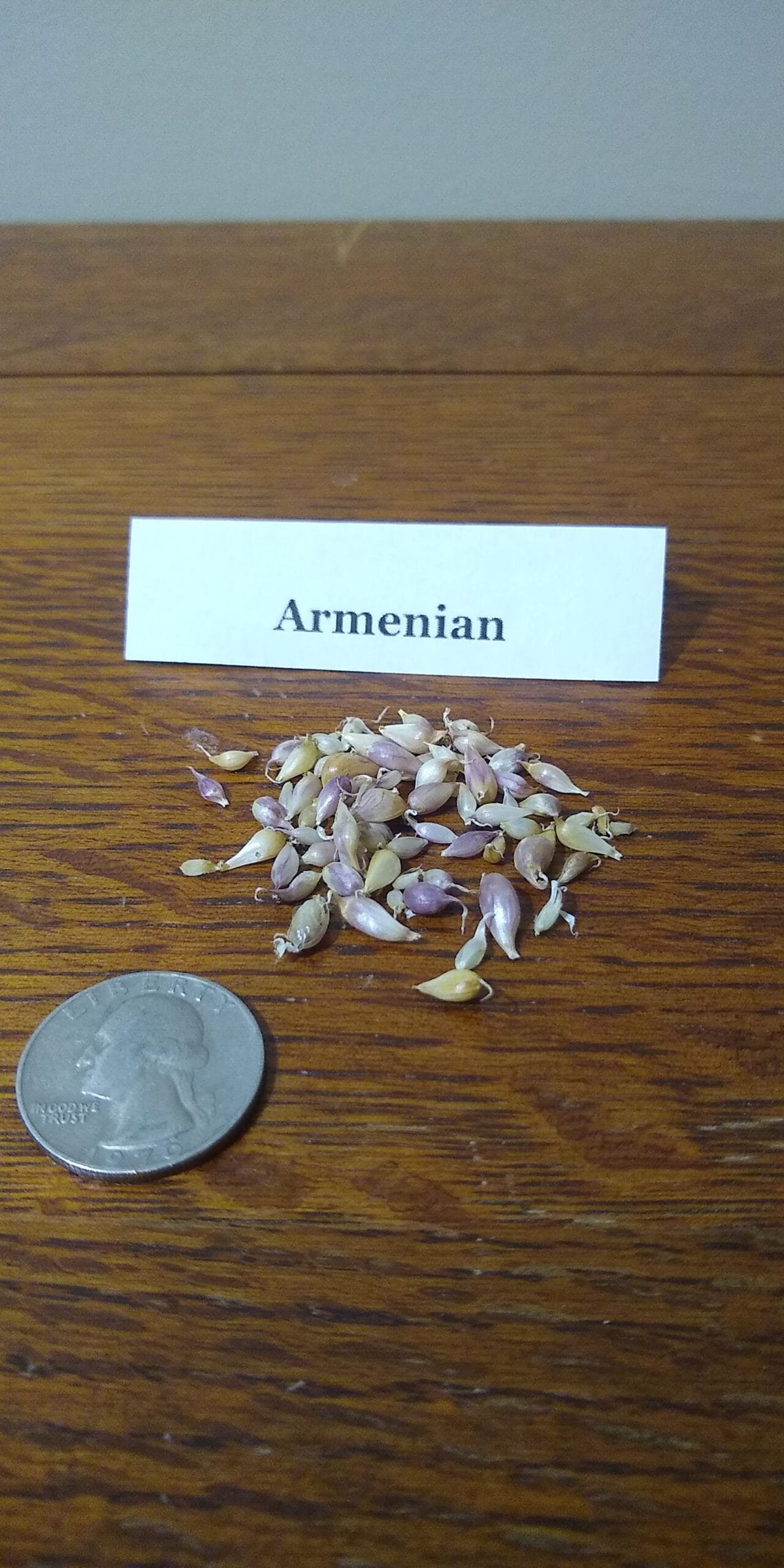 Sample Pack - Image 6