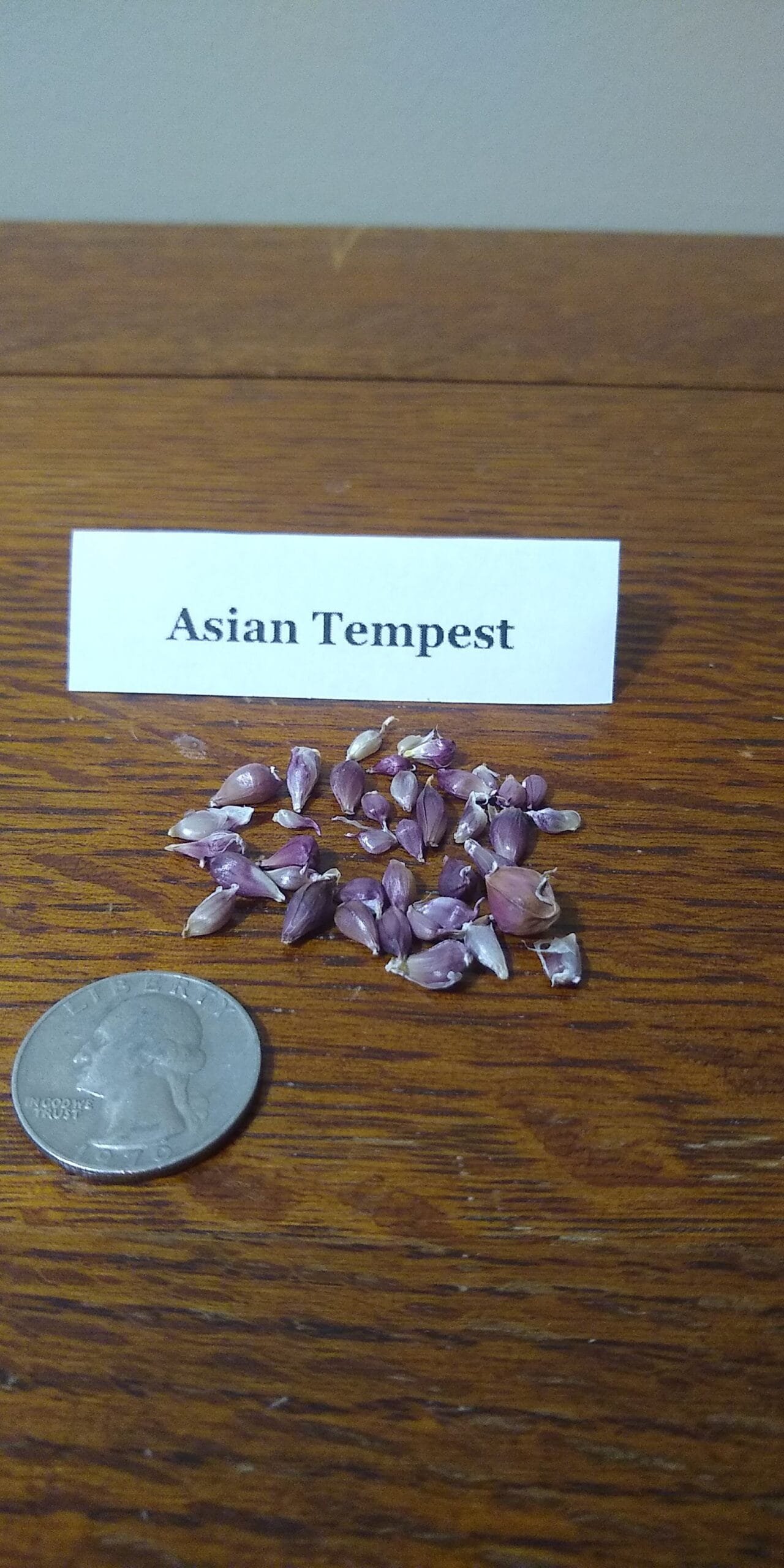 Sample Pack - Image 7