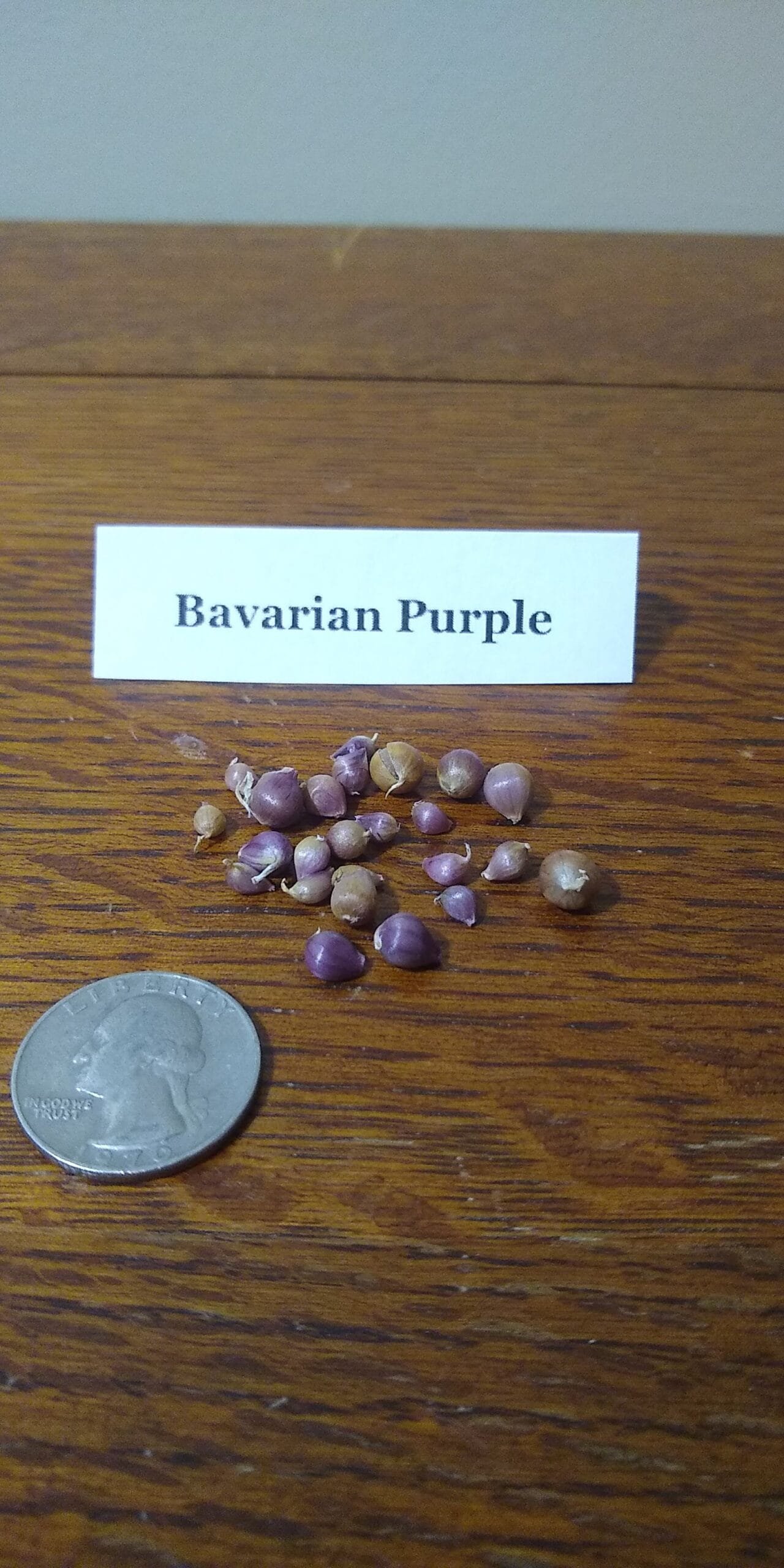 Sample Pack - Image 8