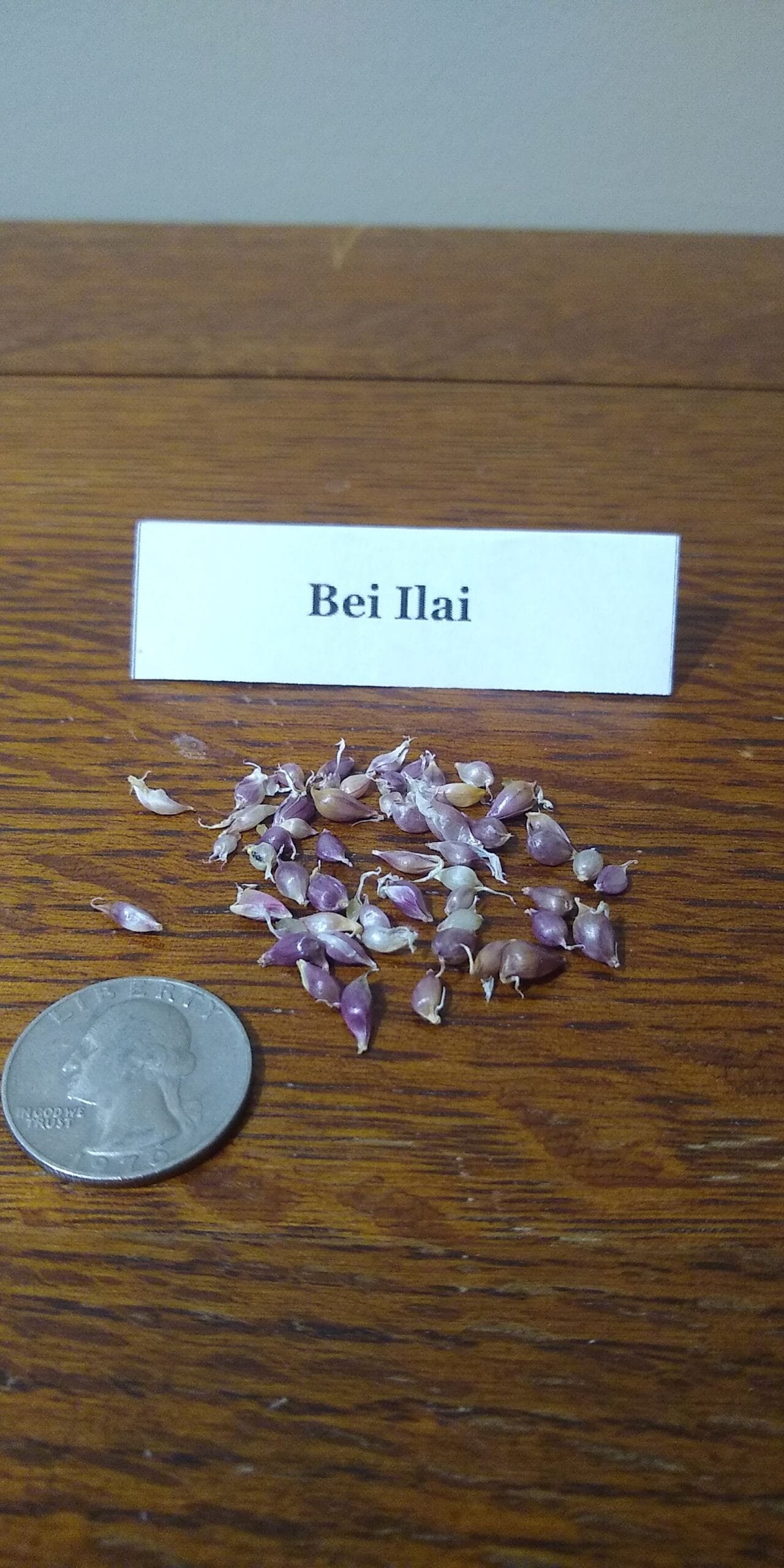 Sample Pack - Image 9