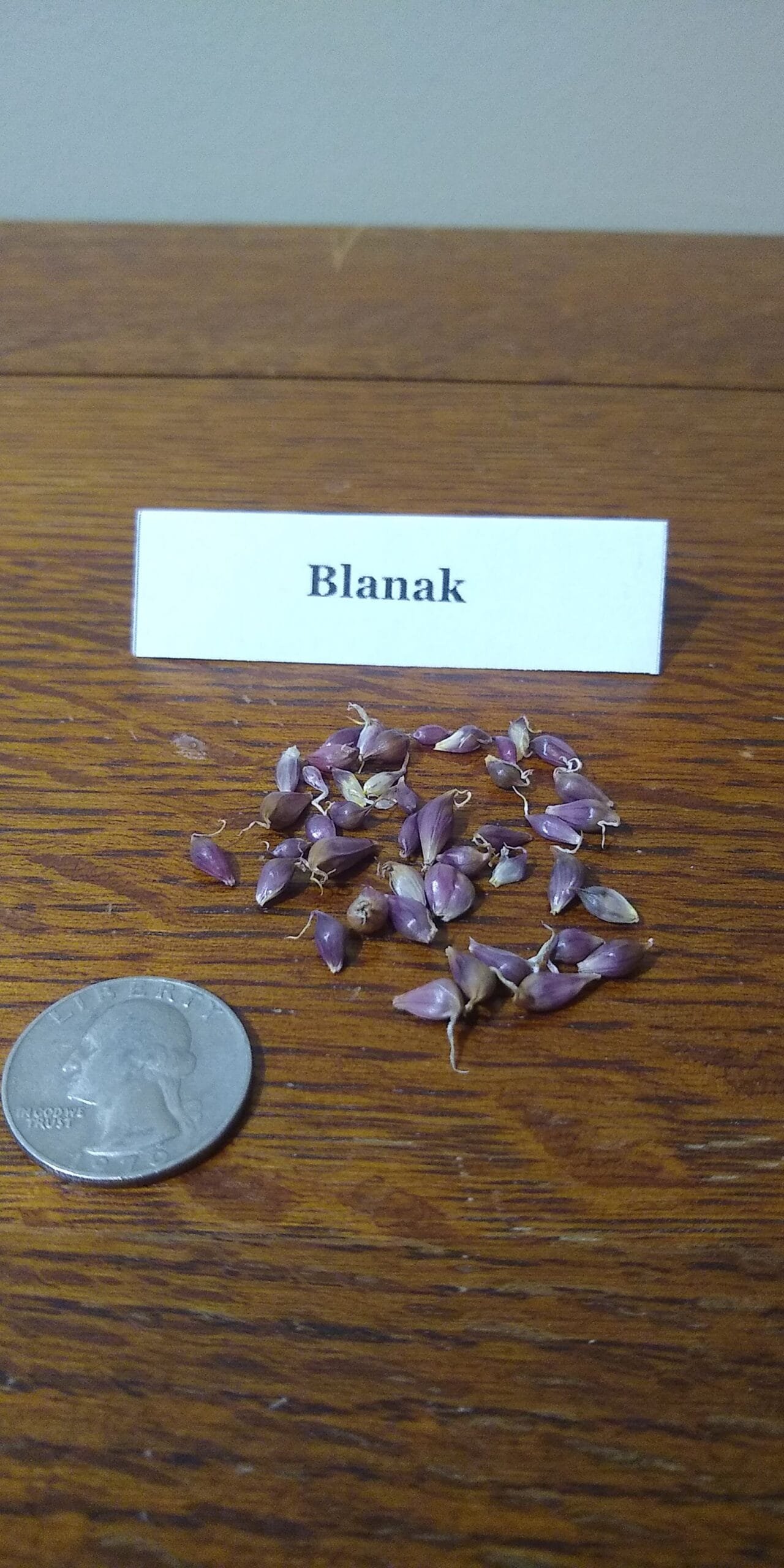 Sample Pack - Image 10