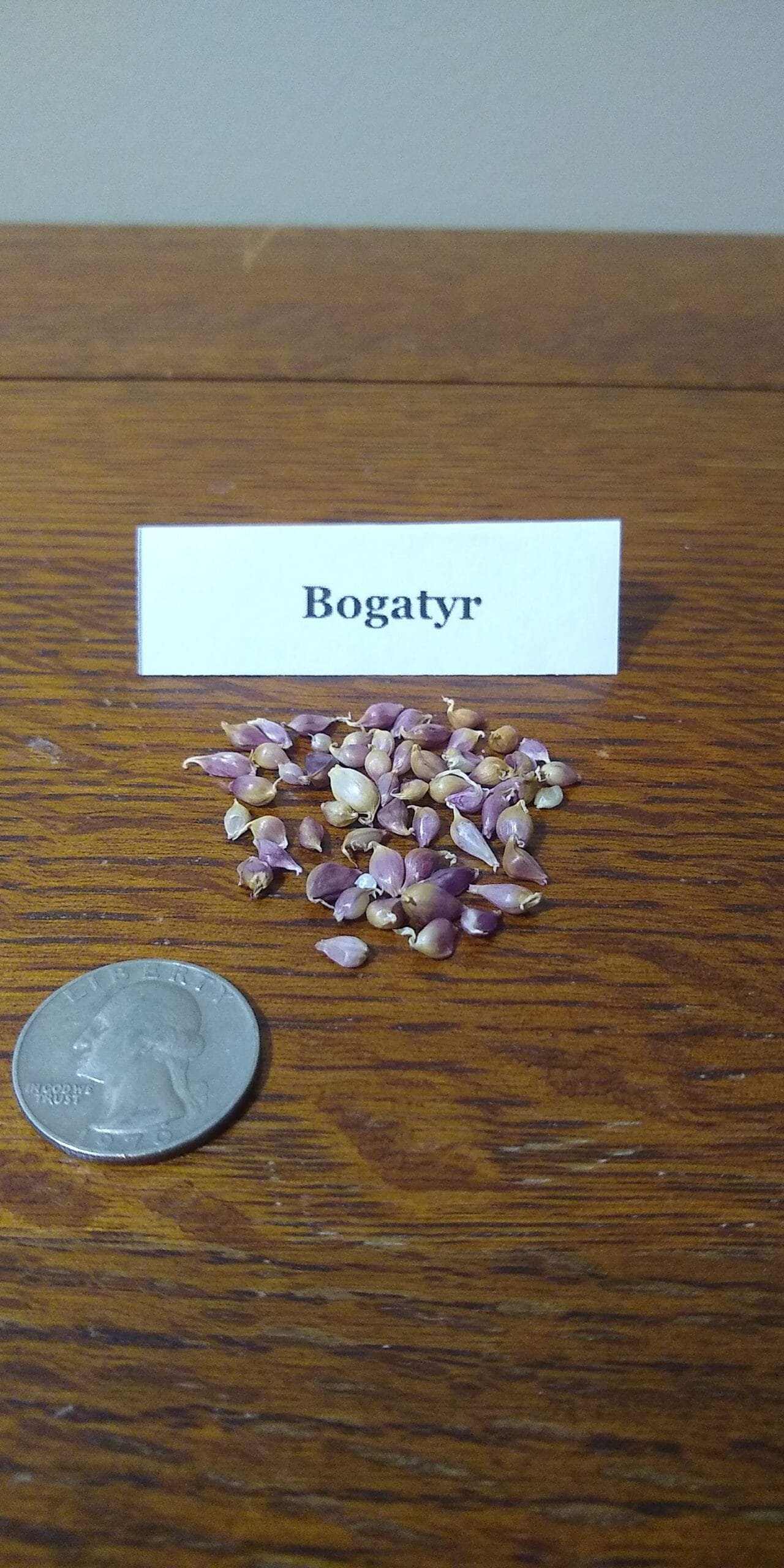 Sample Pack - Image 11