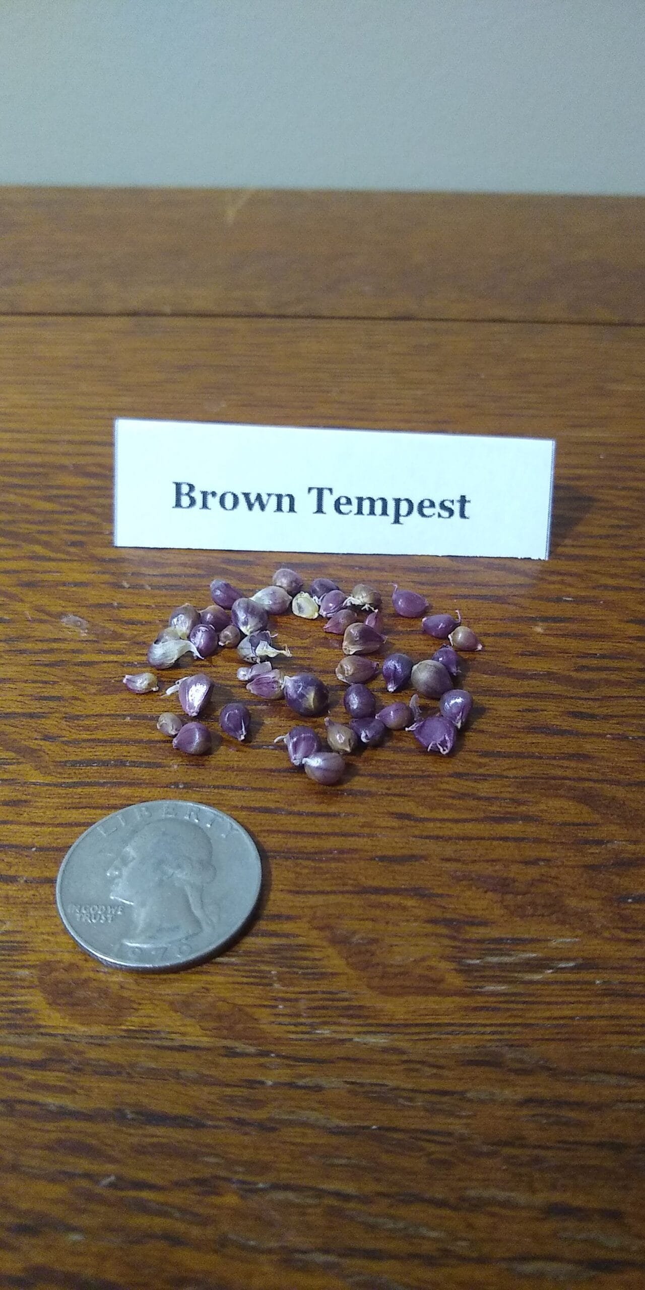 Sample Pack - Image 12