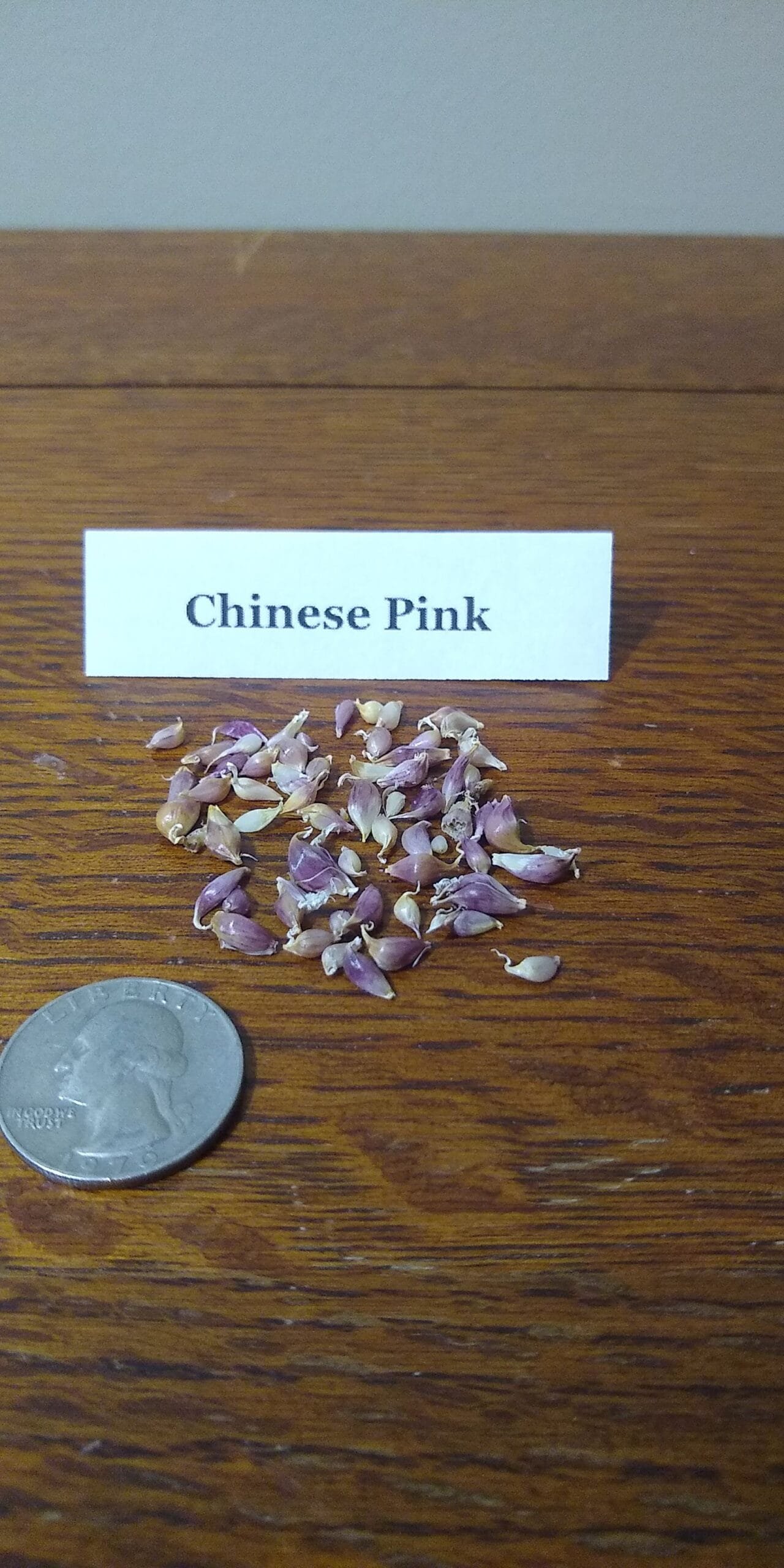 Sample Pack - Image 14