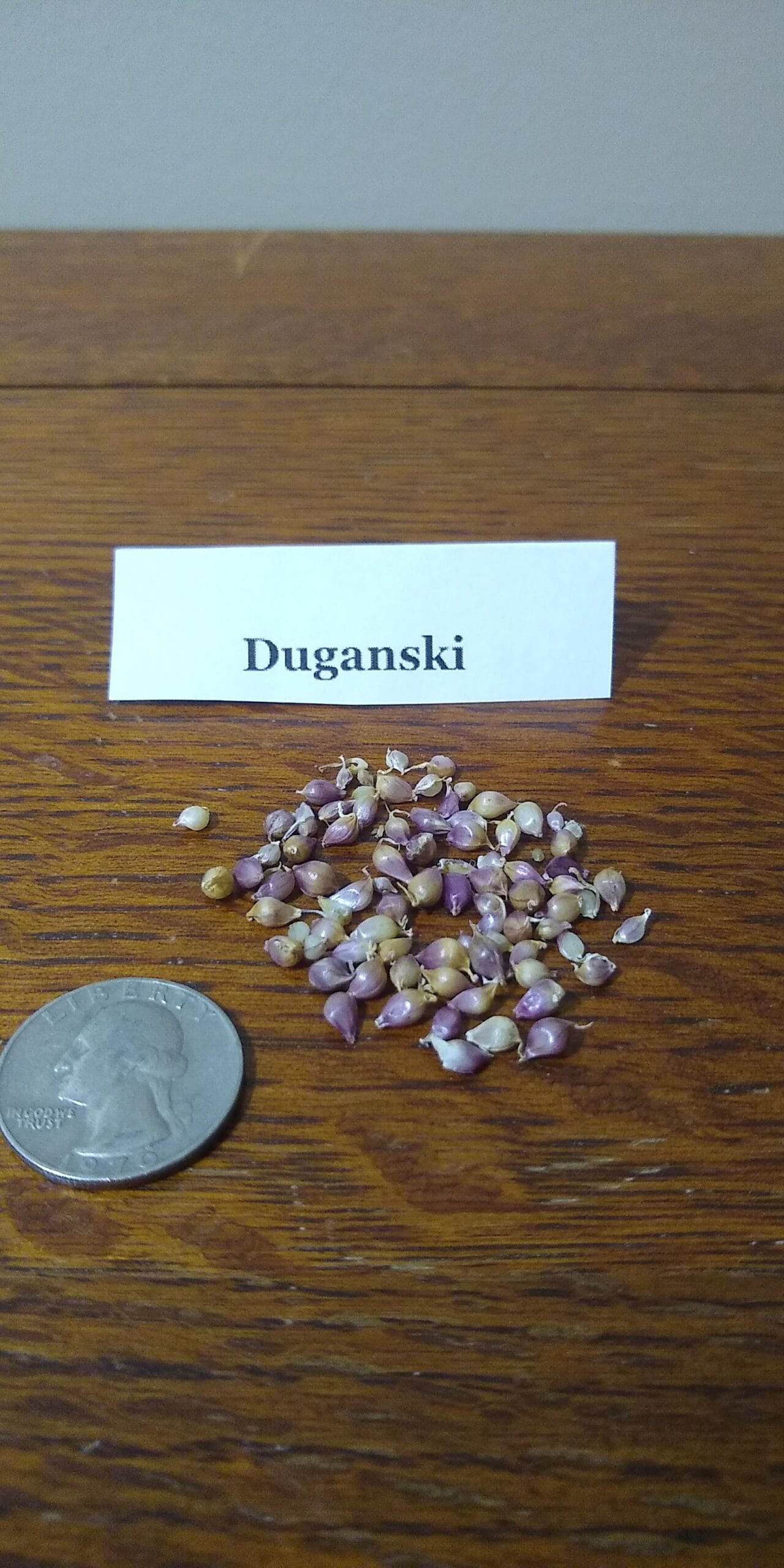 Sample Pack - Image 15