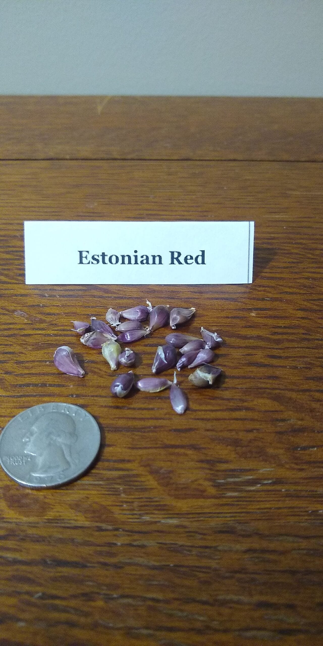 Sample Pack - Image 16