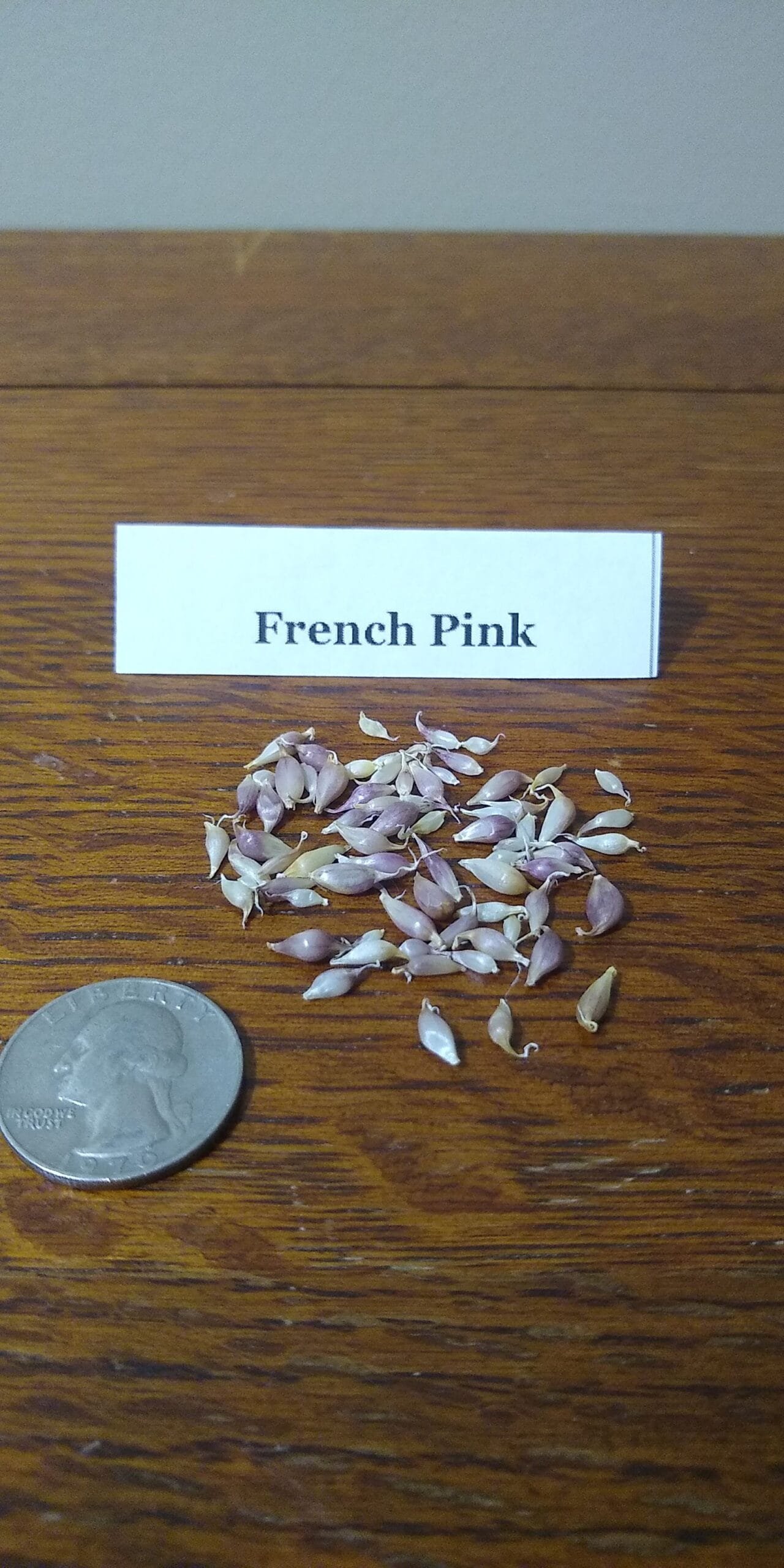 Sample Pack - Image 17