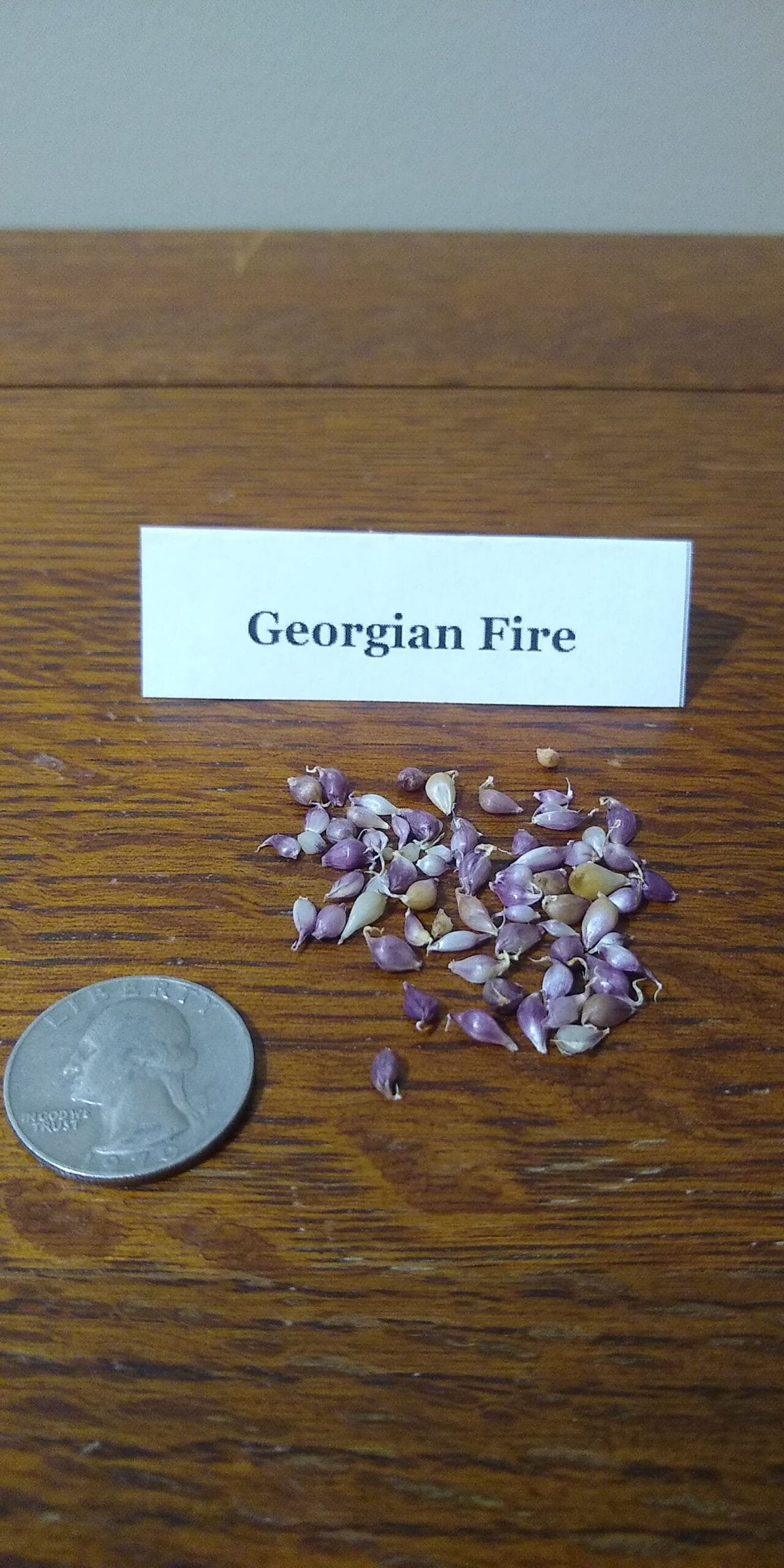 Sample Pack - Image 18