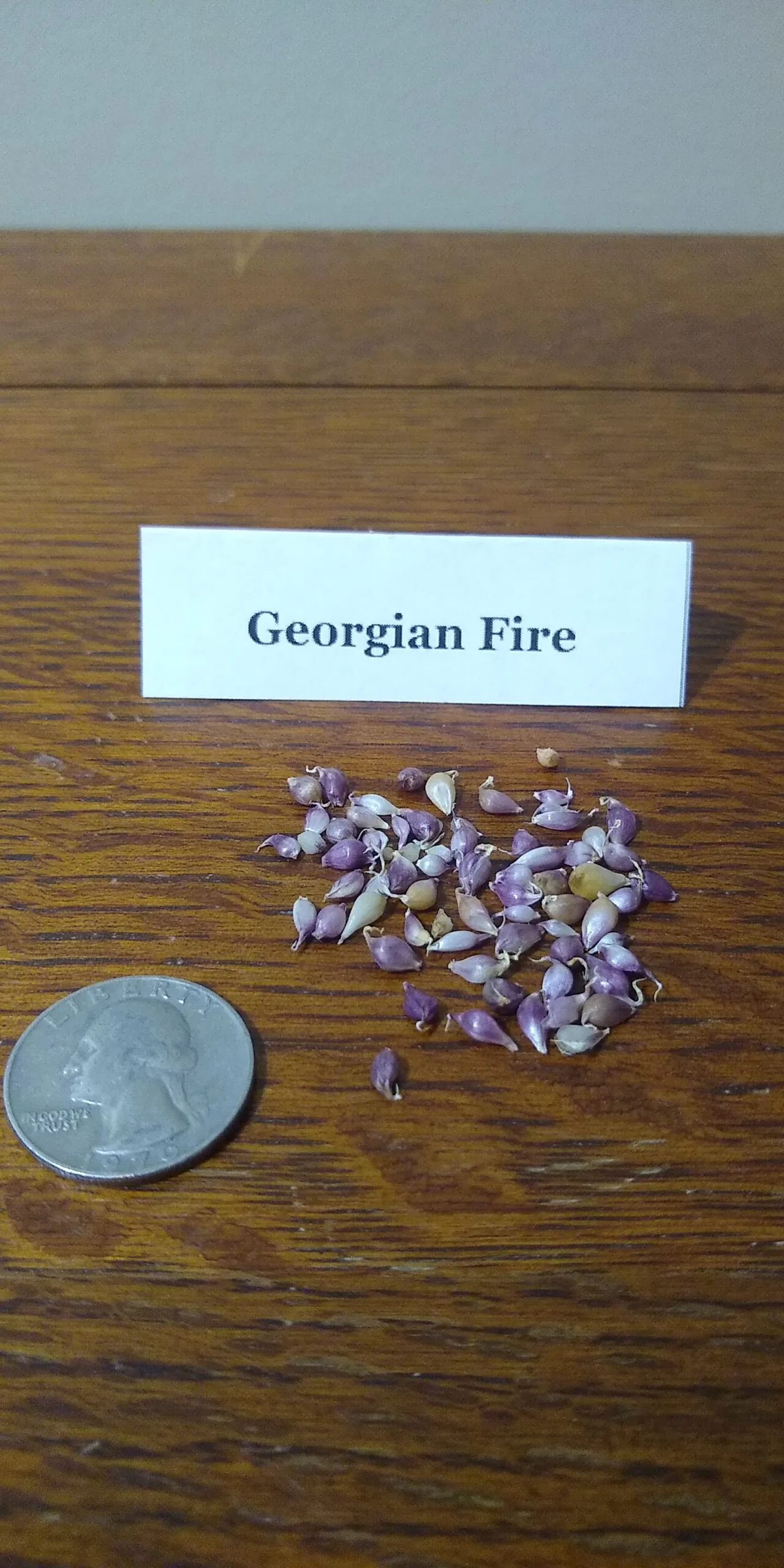Sample Pack - Image 18