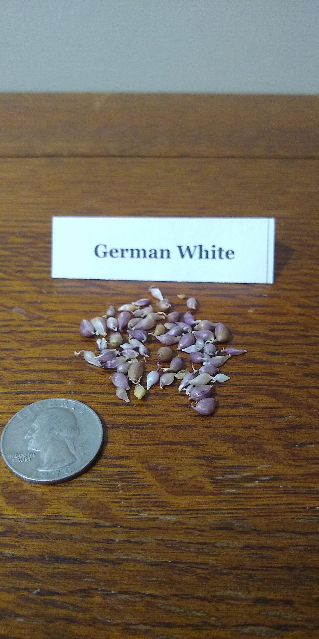 Sample Pack - Image 19