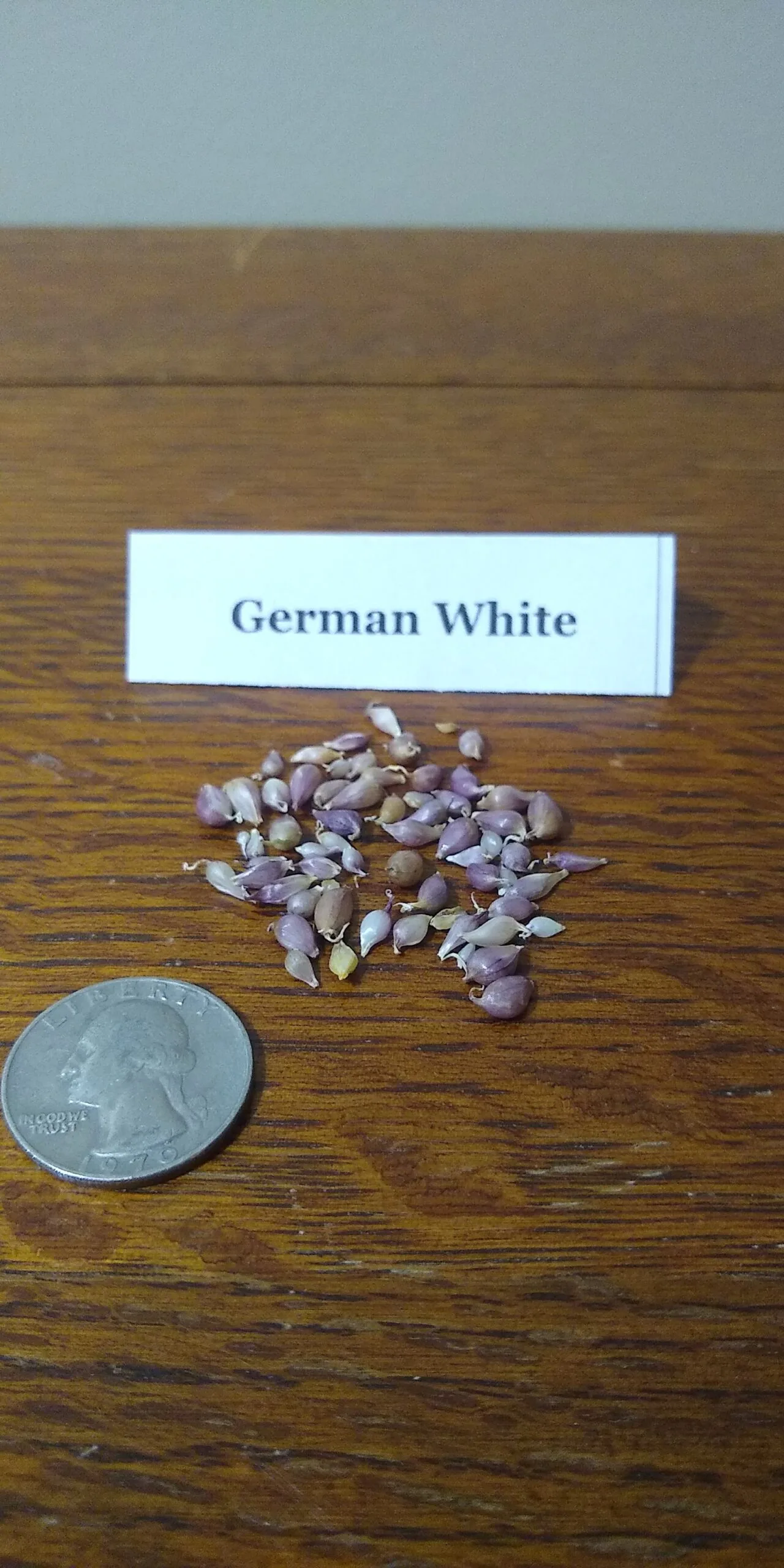 Sample Pack - Image 19