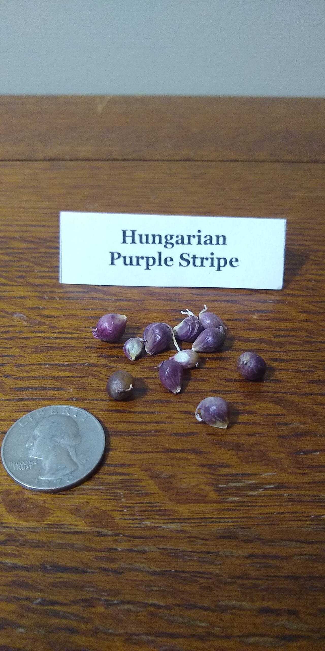 Sample Pack - Image 20