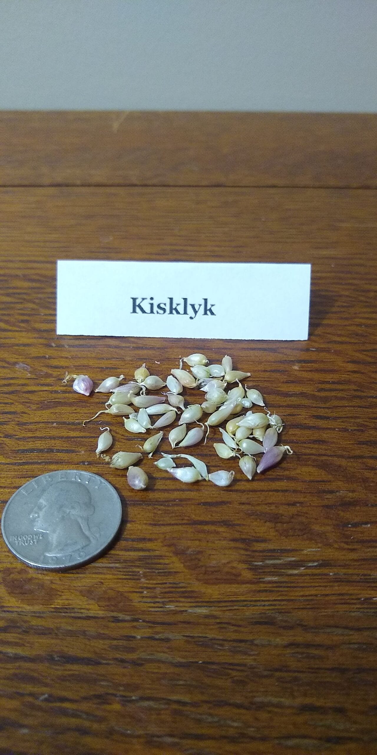 Sample Pack - Image 21