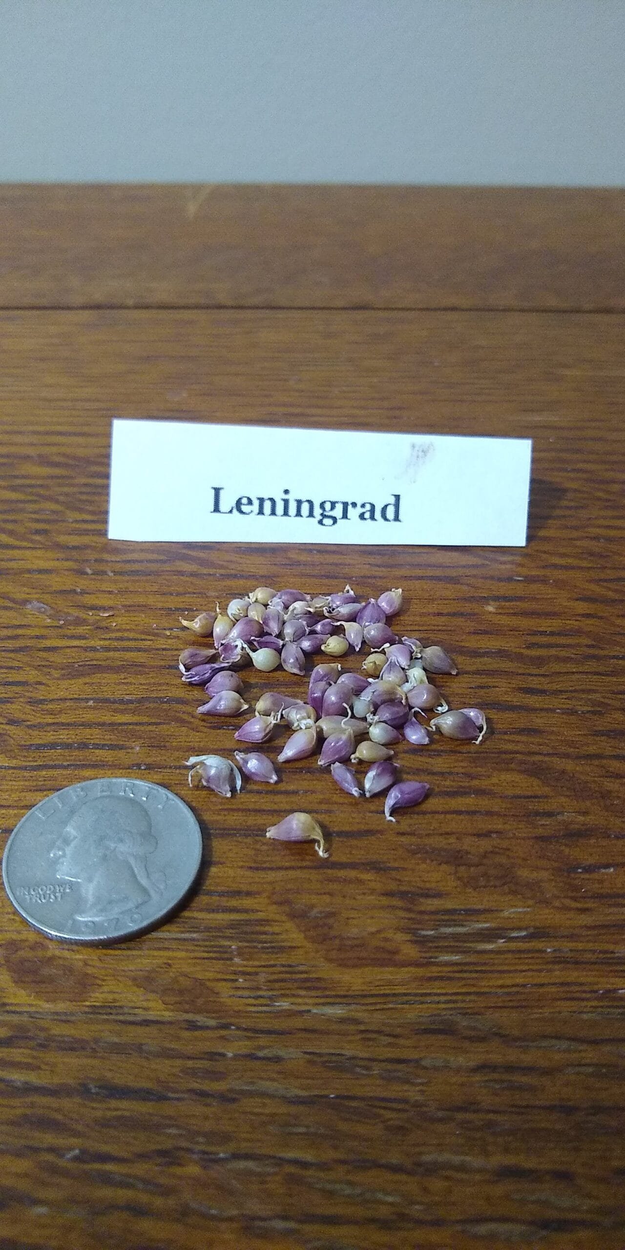 Sample Pack - Image 22