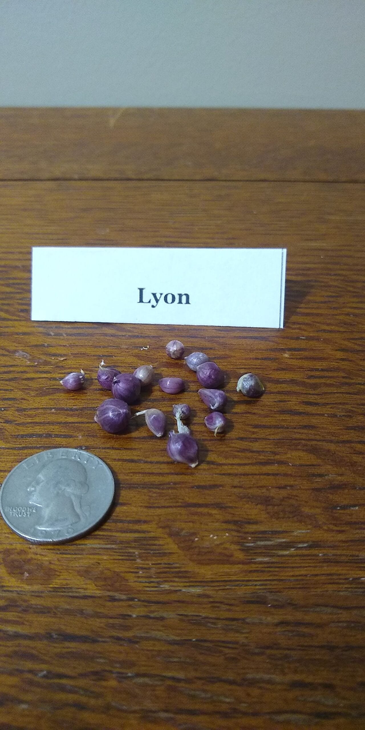 Sample Pack - Image 23