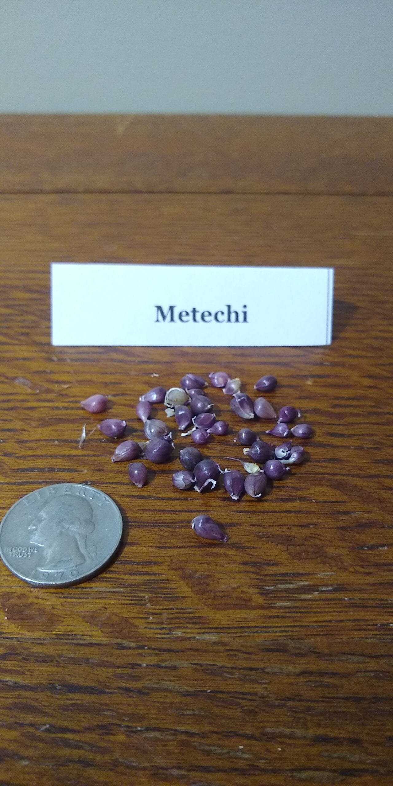 Sample Pack - Image 24