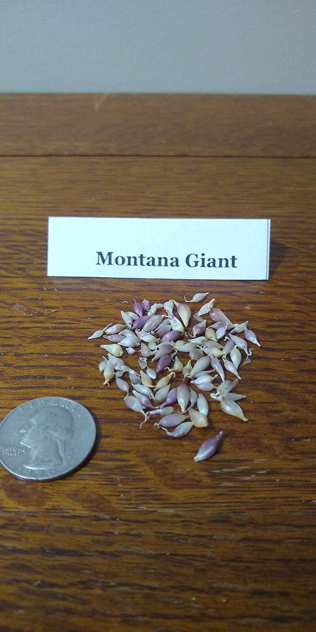 Sample Pack - Image 25