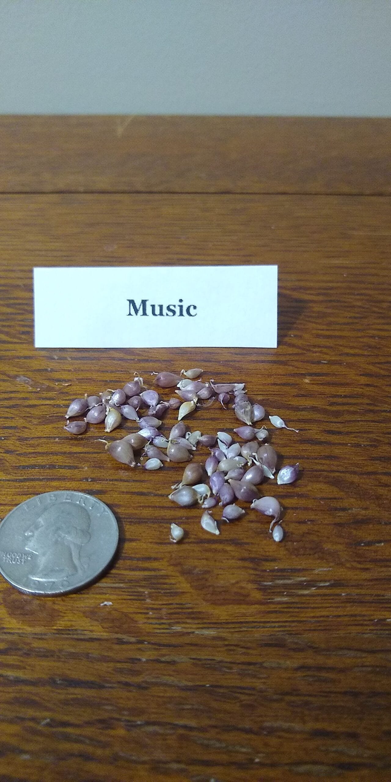 Sample Pack - Image 26