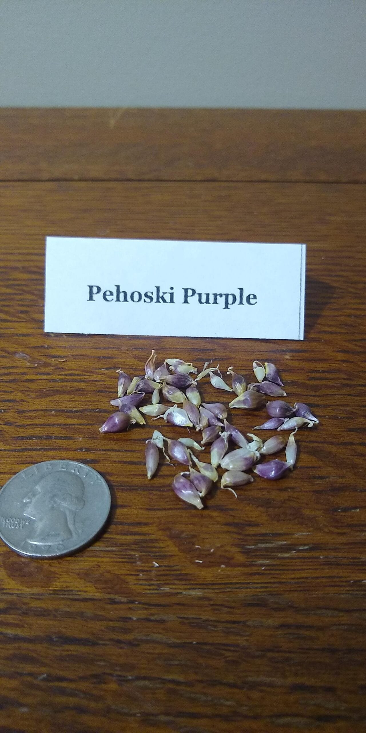 Sample Pack - Image 27