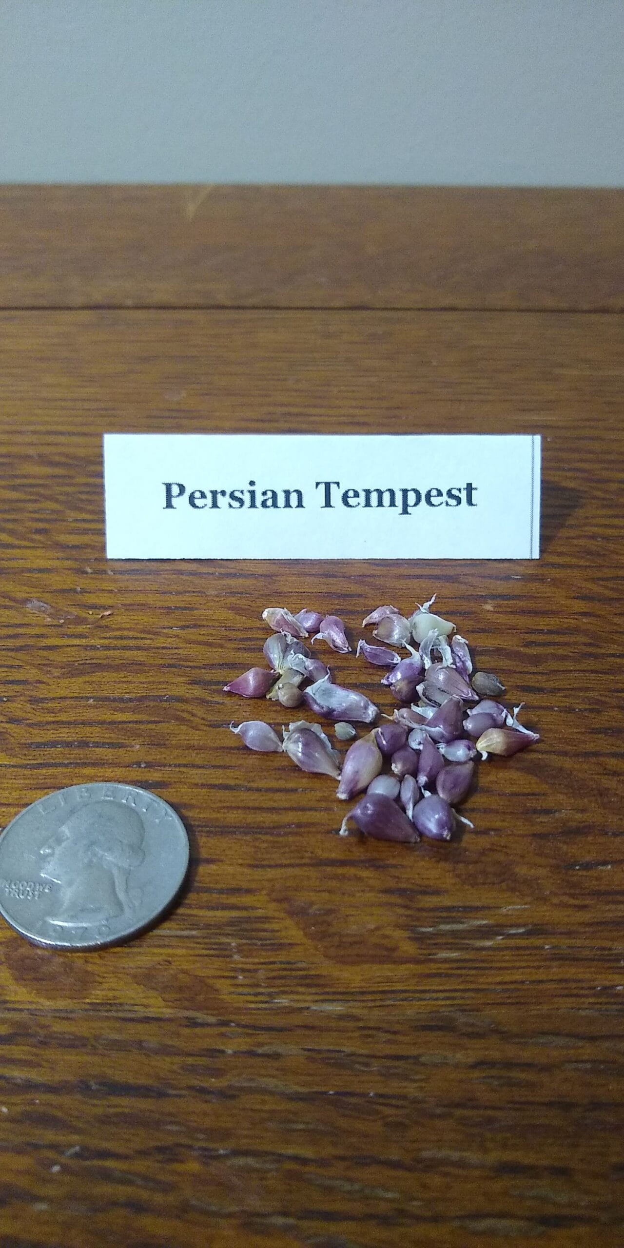 Sample Pack - Image 28