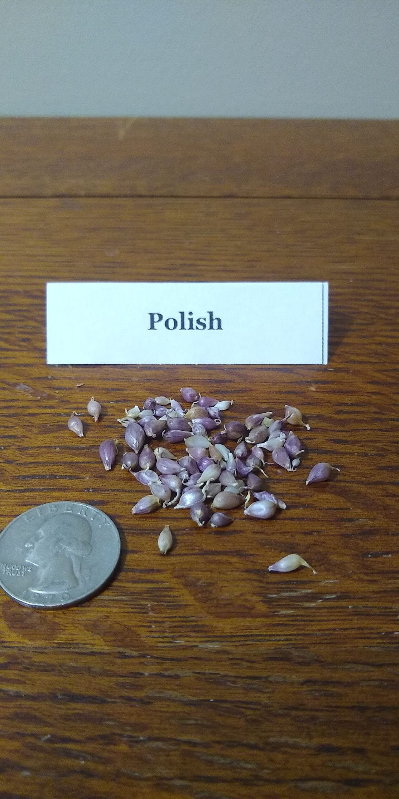 Sample Pack - Image 29