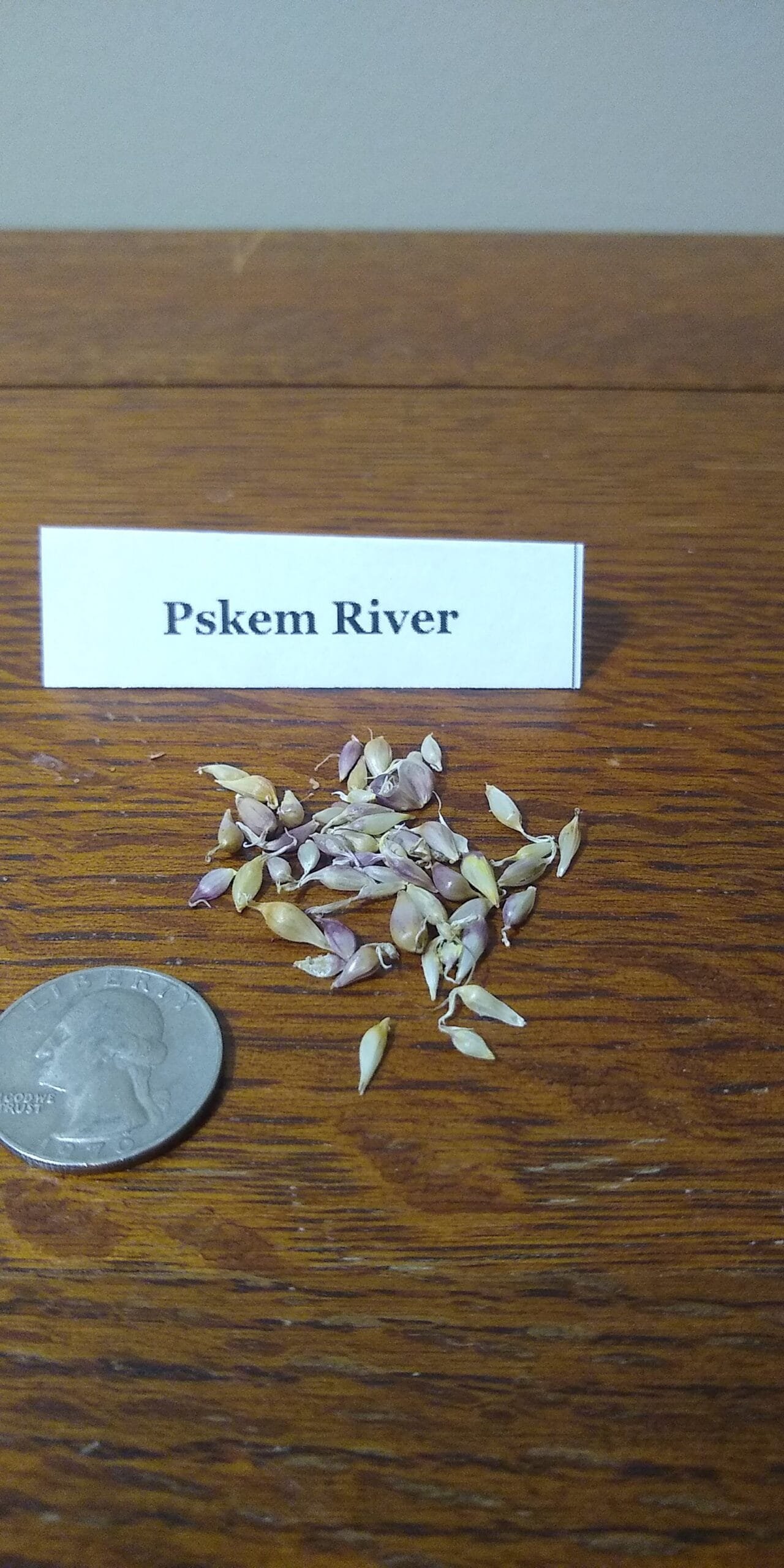 Sample Pack - Image 30