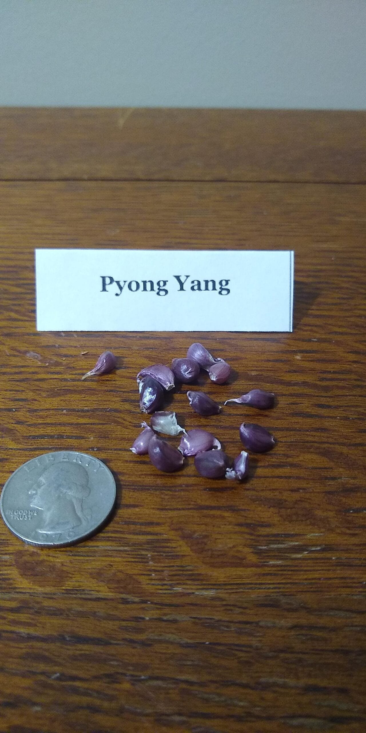 Sample Pack - Image 31